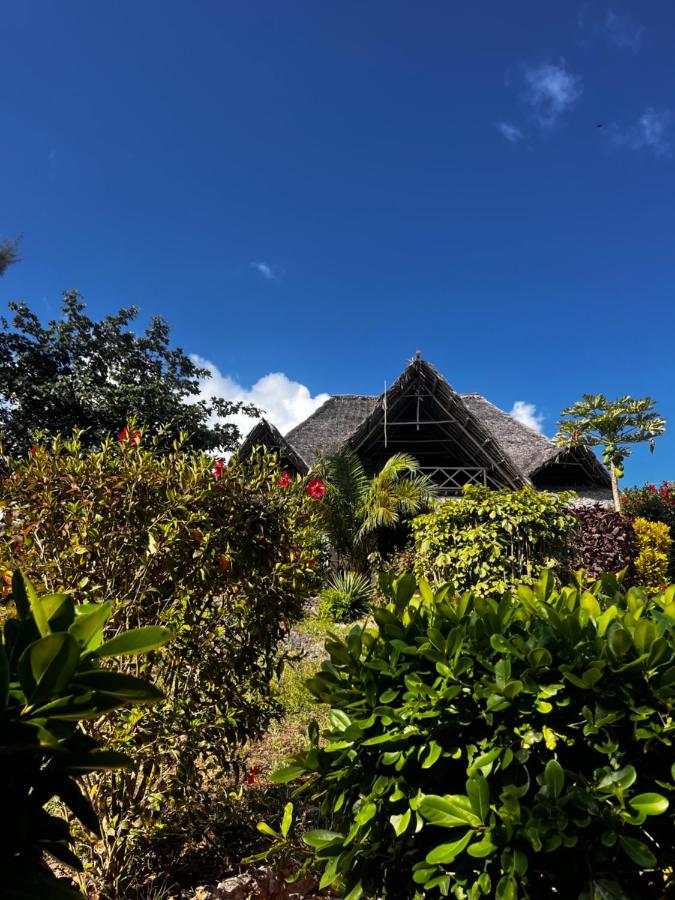 Sazani Beach Lodge and Tidal Lounge - Bed and Breakfast Nungwi