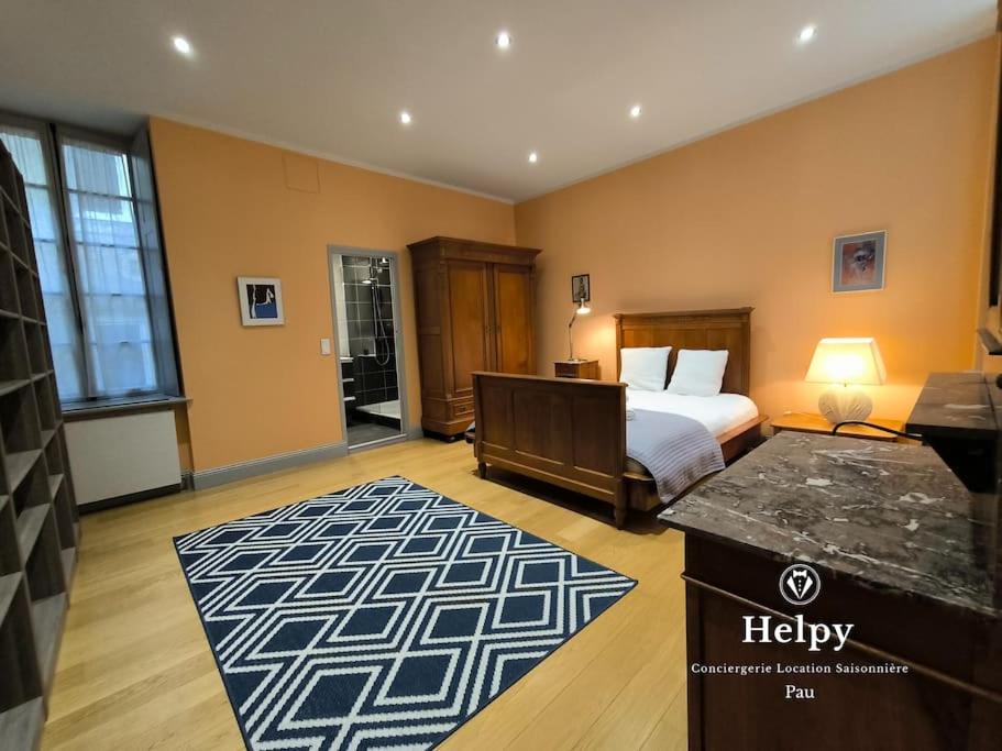 Spacieux-6 pers-bien équipé-quartier du château - B&B Pau