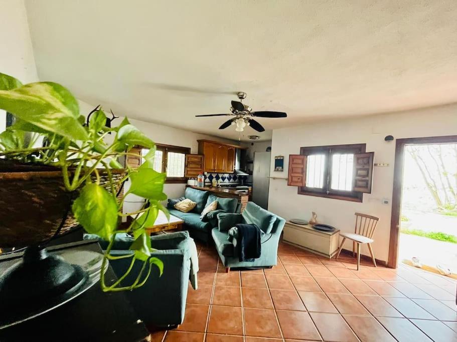 Paraje del Almendral- Casa Grande - B&B