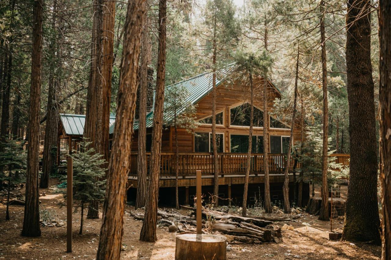 Peace of Mine - Cabin inside Yosemite - Dog Friendly - Chambres d’hôtes South Wawona