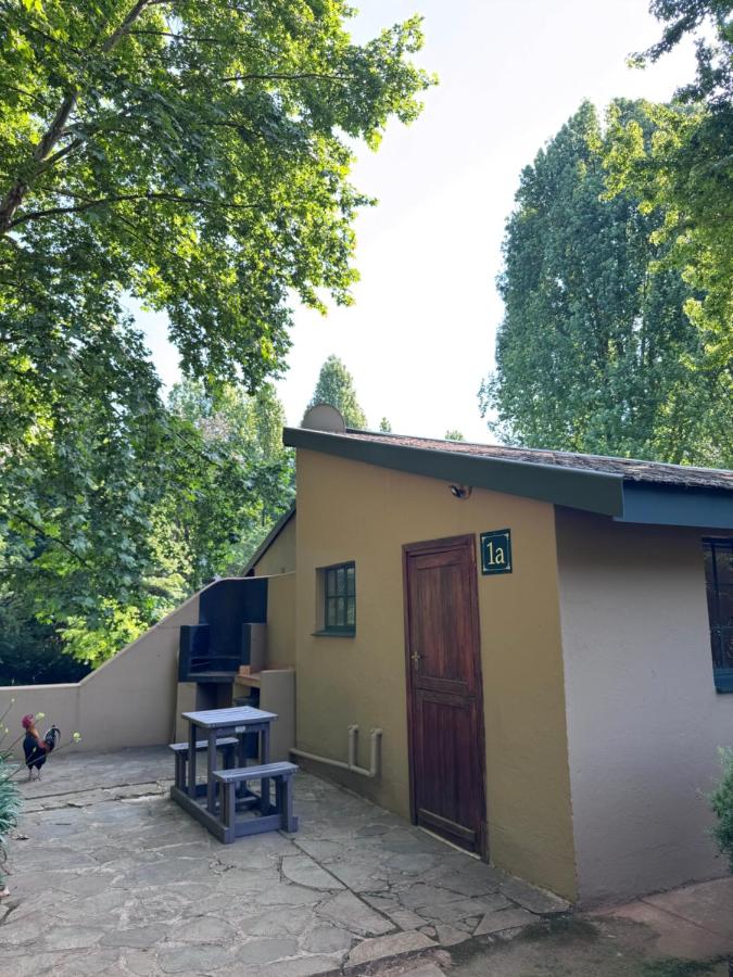 Studio with Garden View