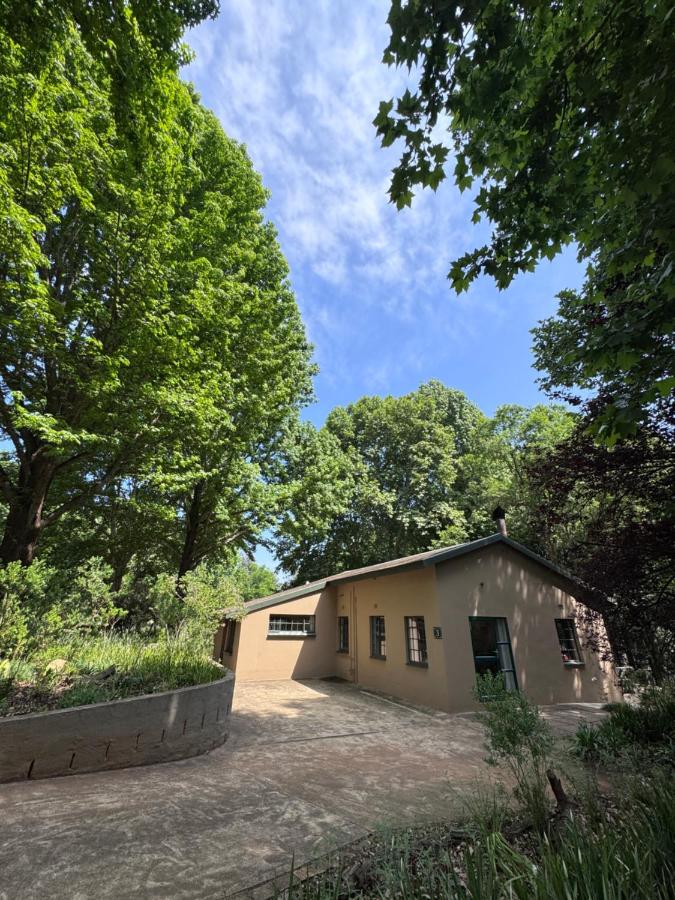 Studio with Garden View