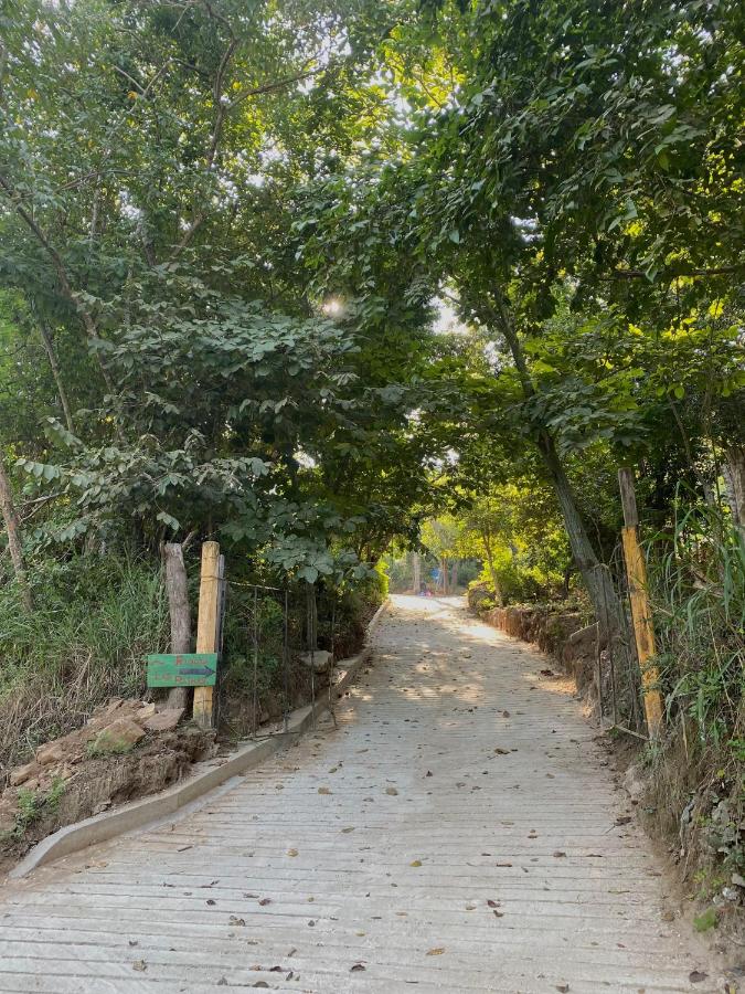 Habitación Privada Sol - Aldea Corazón - StarLink - B&B Santa María Tonameca