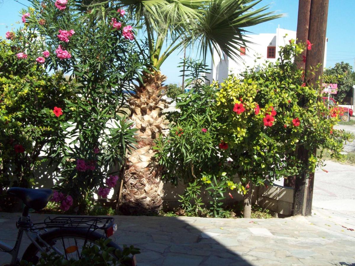 Appartement - Vue sur Jardin