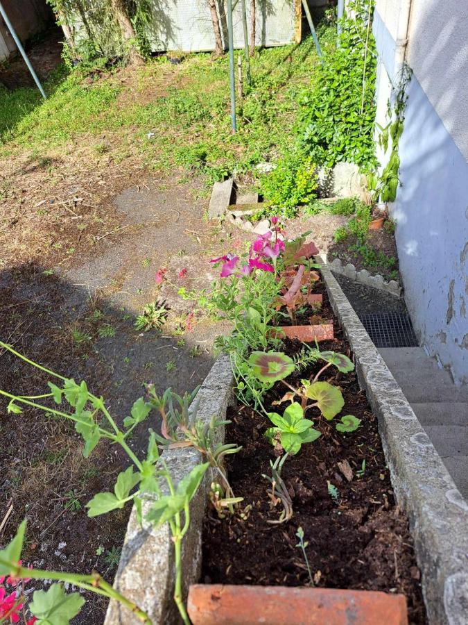 Maison individuelle - B&B