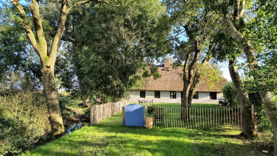 Alte Schmiede - B&B