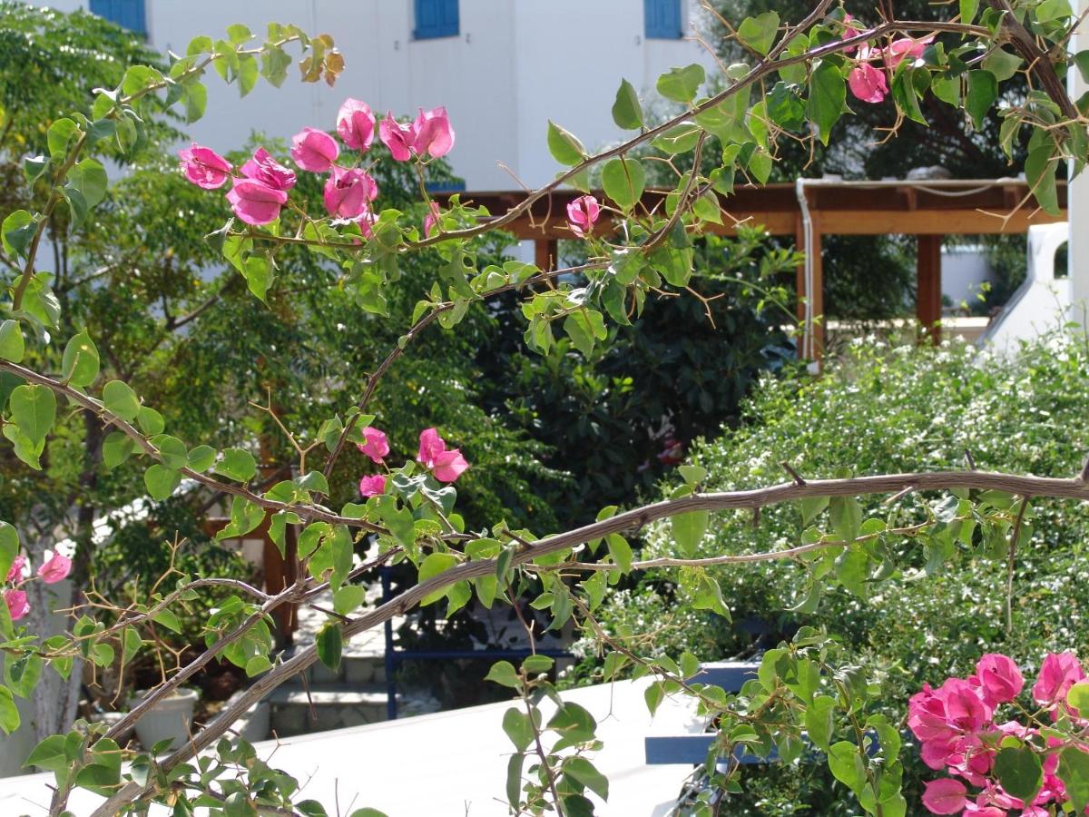 Villa Nefeli - Ferienwohnung Perissa
