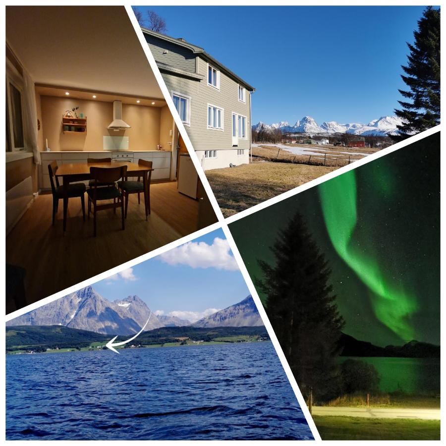 Arctic Cabin Lyngen - Bed and Breakfast