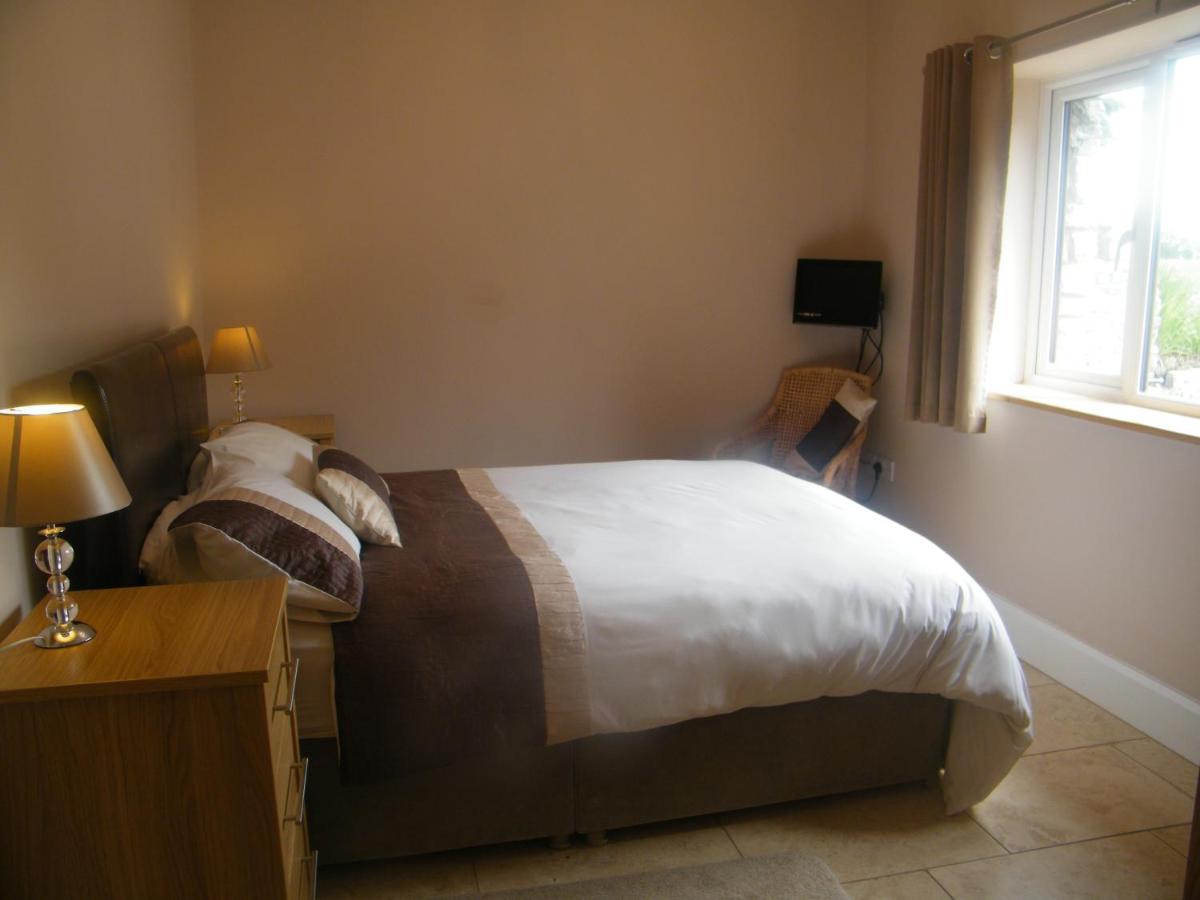 Habitación Estándar - Cama extragrande