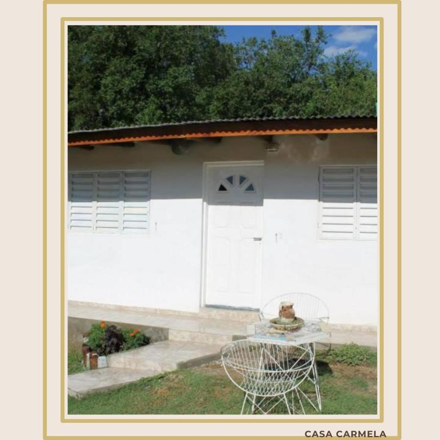 CasaCarmela8 - B&B