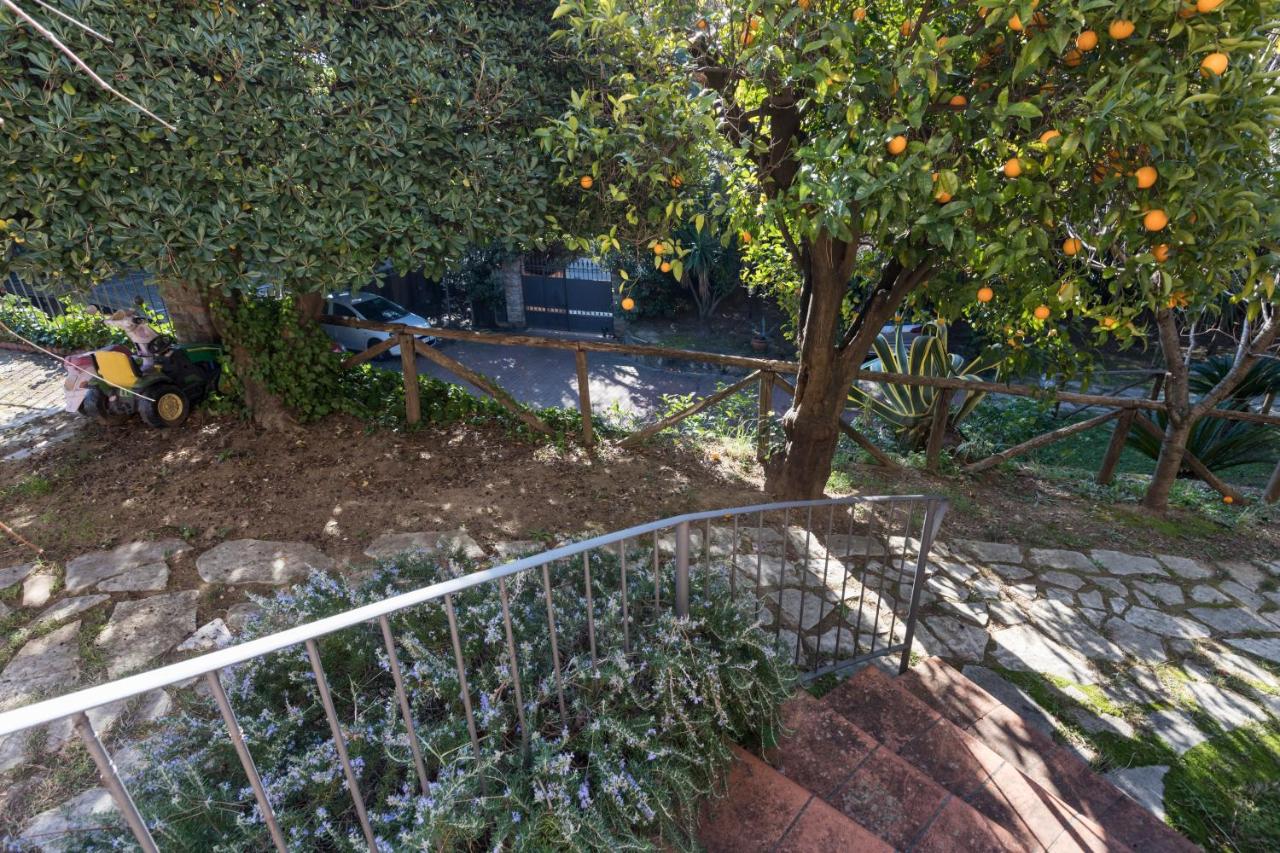 Villa le Agavi by Nicola Real Estate - B&B Quiesa