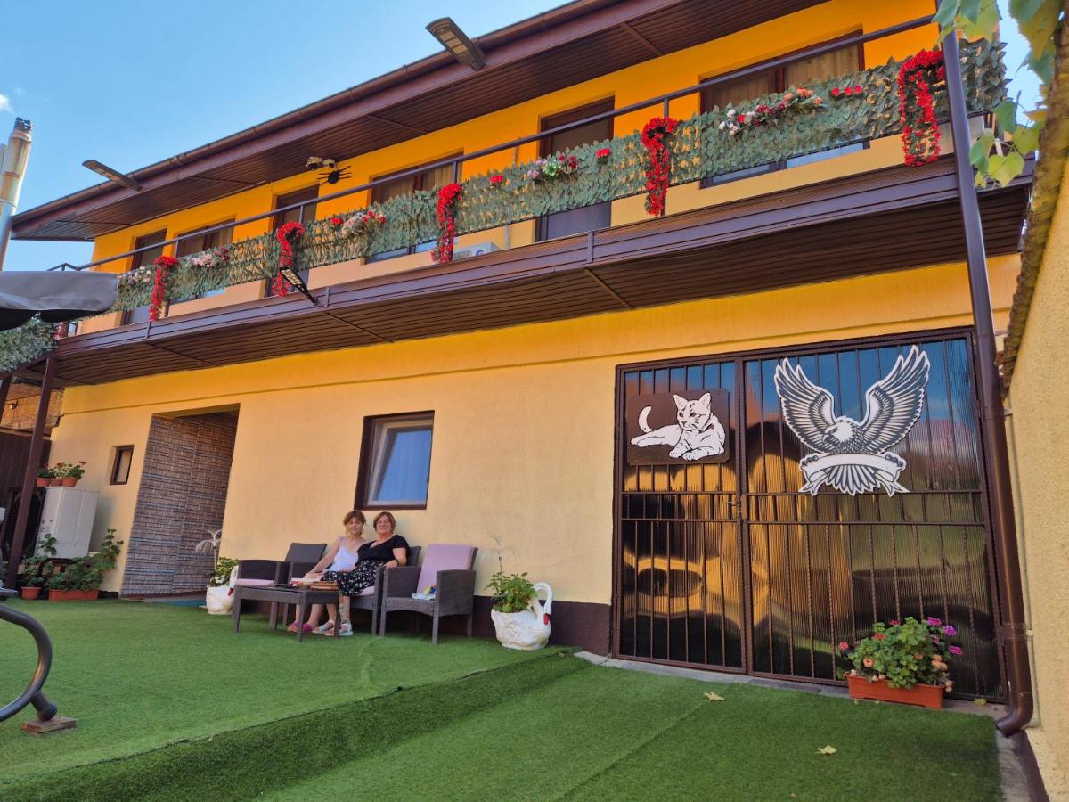 Home for you - B&B Eşelniţa