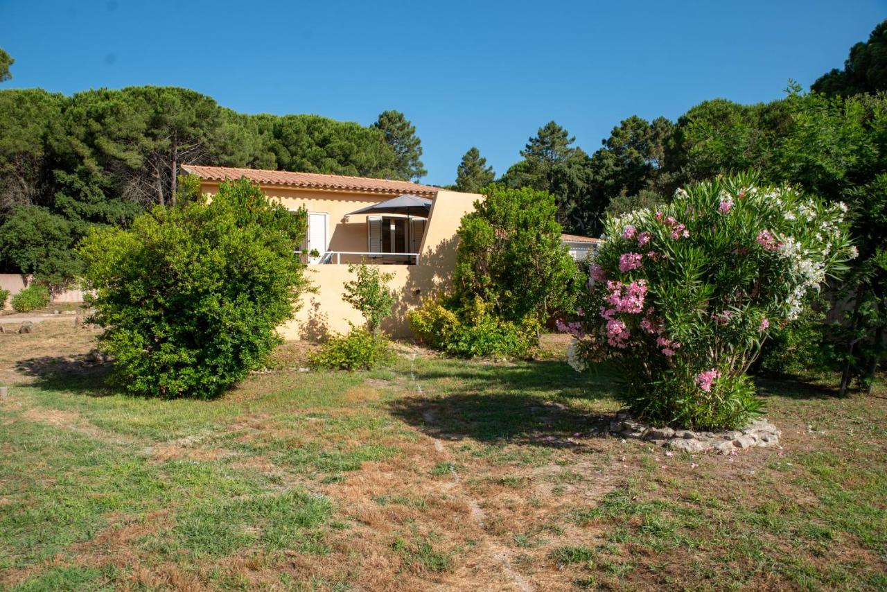 Mini villa indépendante idéale et très bien située - B&B