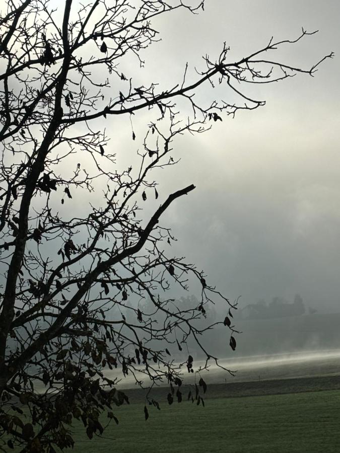 außergewöhnliches loft in ehemaligem stallgebäude - Chambres d’hôtes Senftenbach