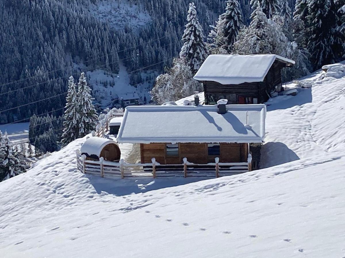 Siedelhütte - Ferienwohnung