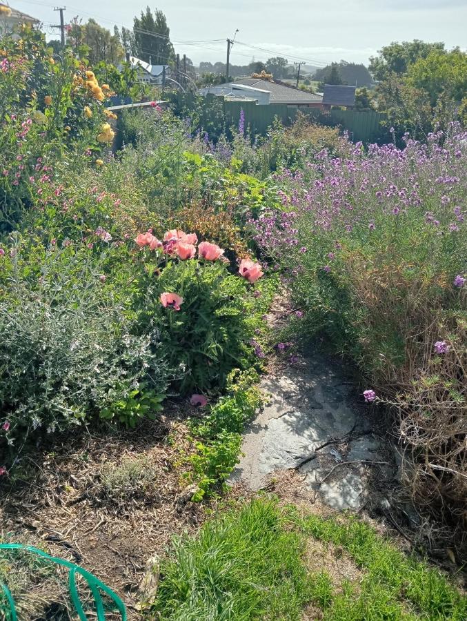 Comfortable home on South Hill - B&B Oamaru