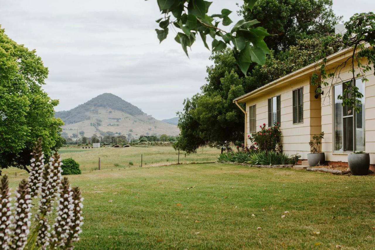 Burrundulla Farmhouse - Poolside Country Allure - B&B