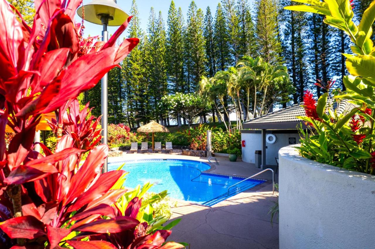 KBM Resorts FREE CAR Kapalua Golf Villas KGV-17P7 Enjoy Breathtaking Ocean Views - B&B