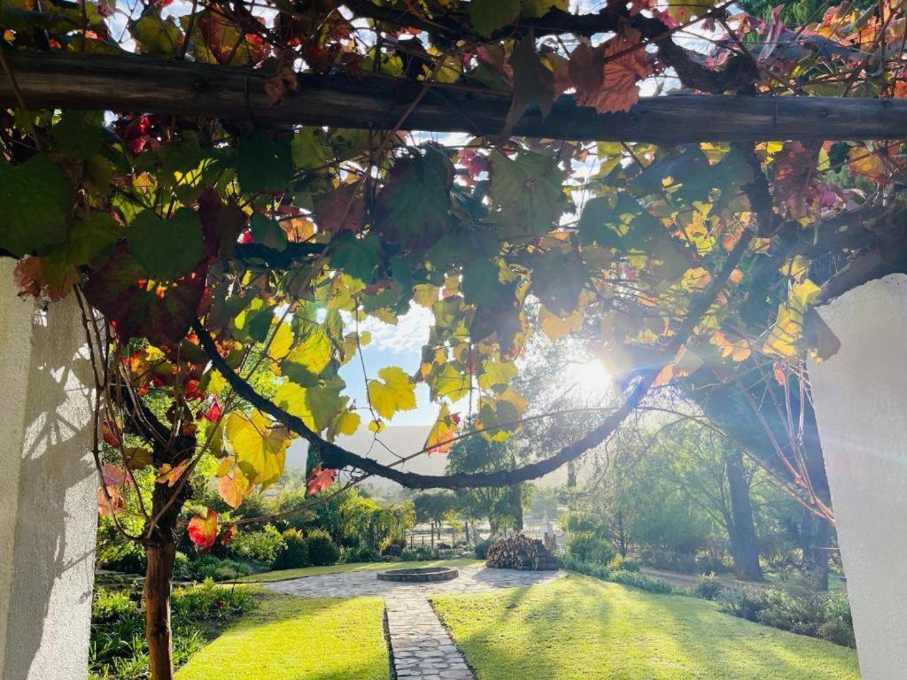 Grey Ghost Lodge - B&B Cradock