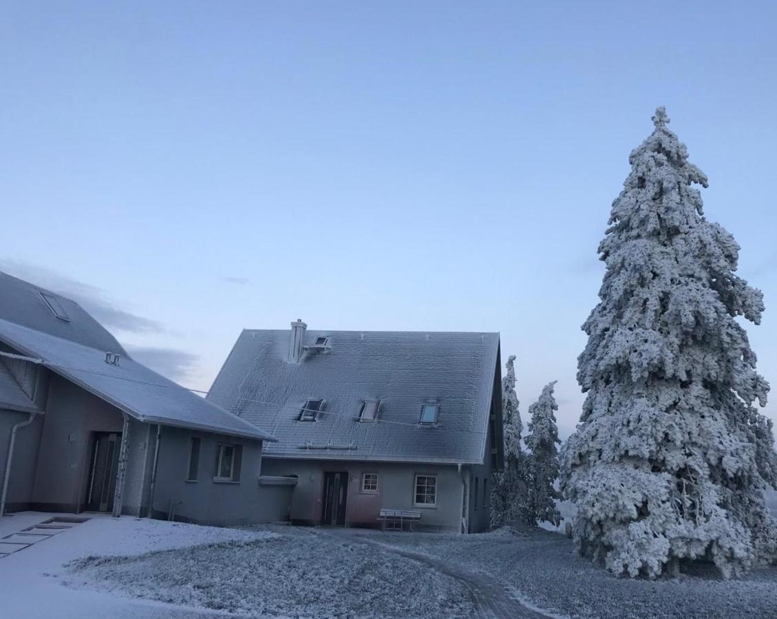 Gitti's Ferienwohnung - B&B Seiffen