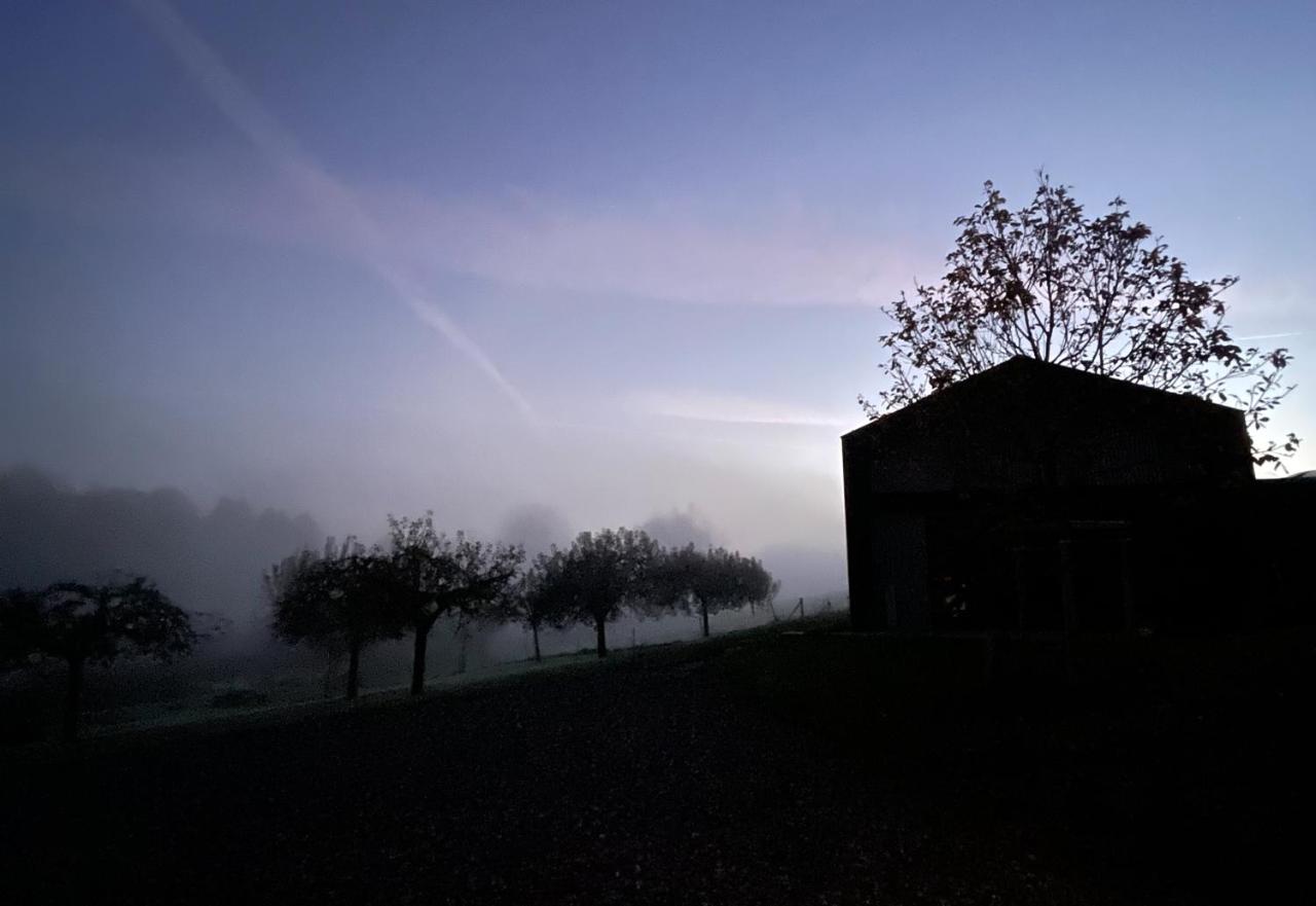 New! 10étangs, design house nestled among a dozen ponds - Bed and Breakfast