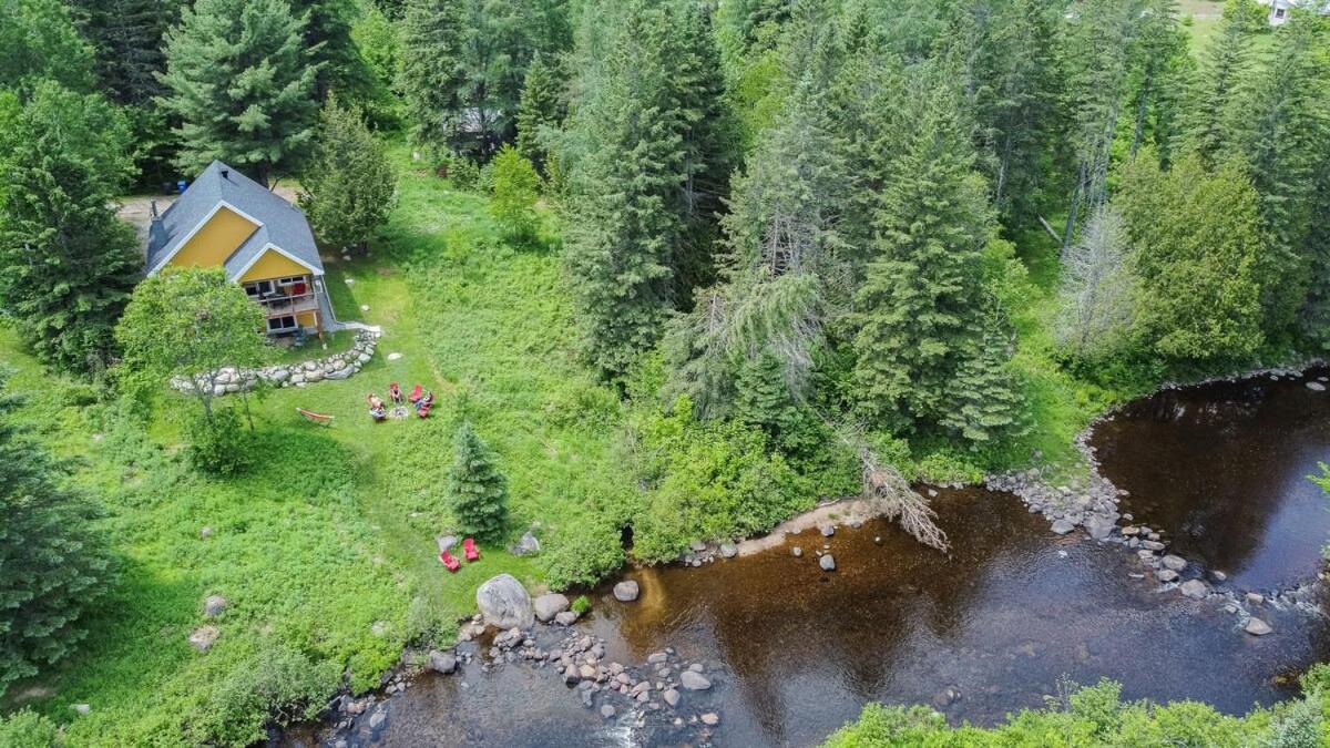 La Pause - Peaceful by the river - B&B Chertsey