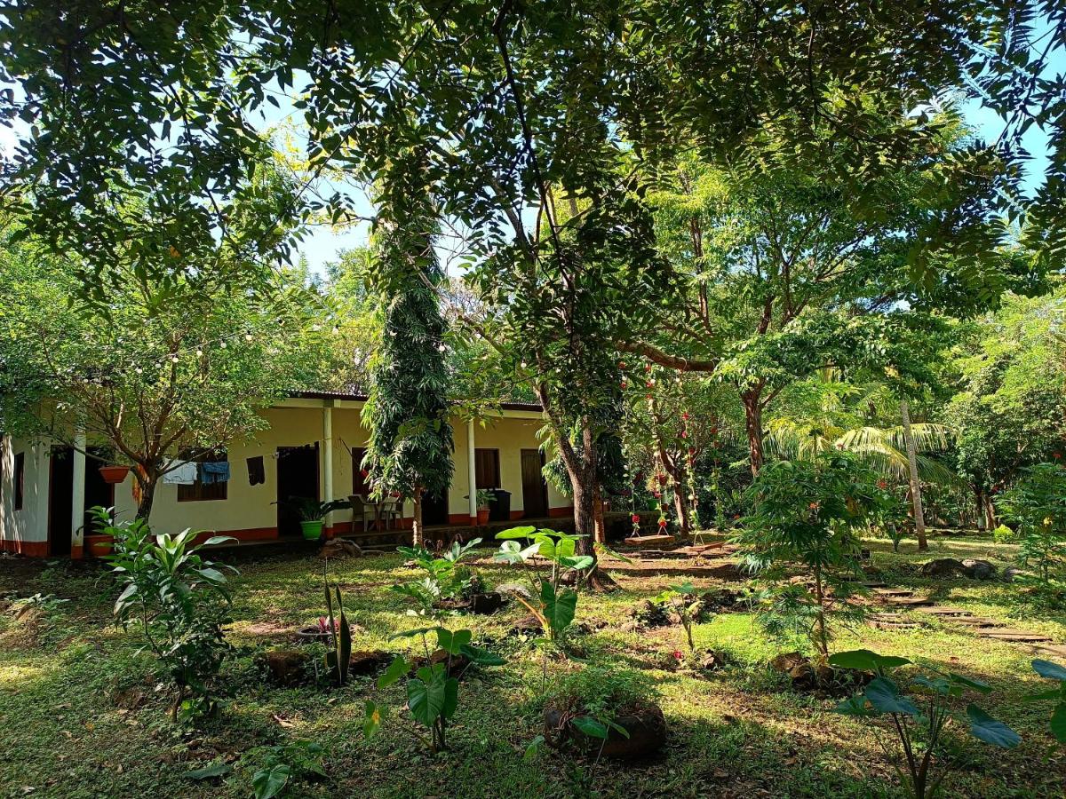 Holy Spirit Hostel Ometepe - Bed and Breakfast