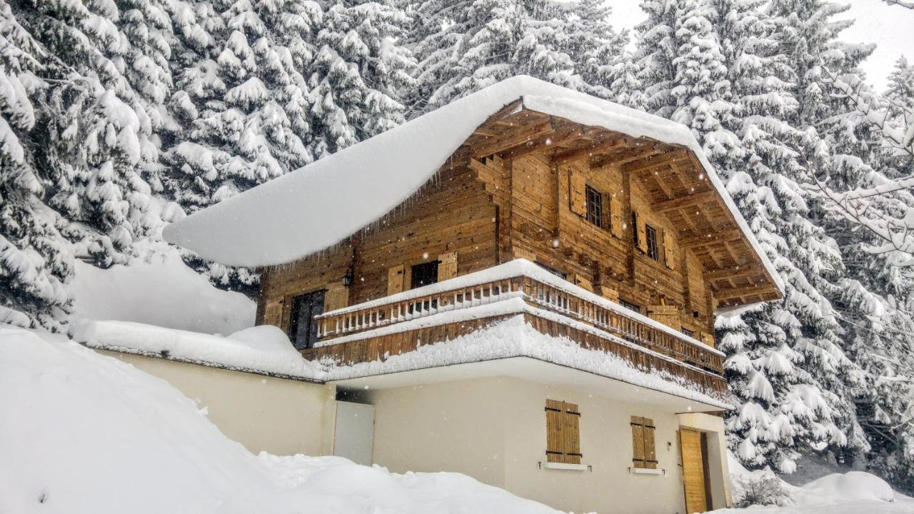 CHALET SPA BELLE VUE 500 m des pistes - B&B