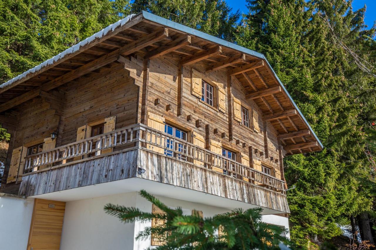 CHALET SPA BELLE VUE 500 m des pistes - B&B Manigod