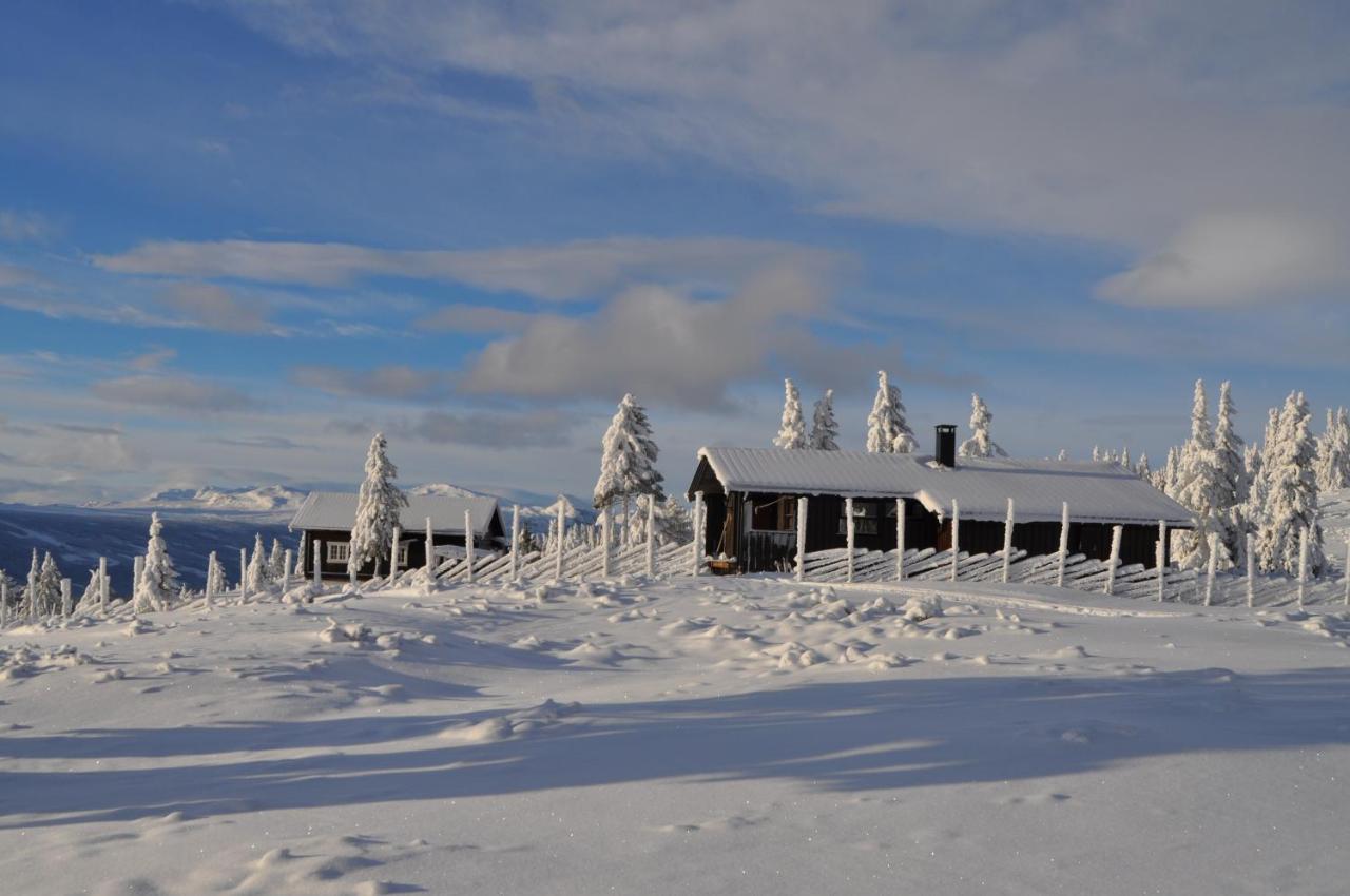 Løstegård Cabins - B&B Gol