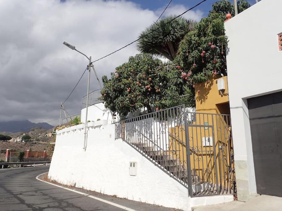 DRAGO 100, quiet and friendly - B&B Telde