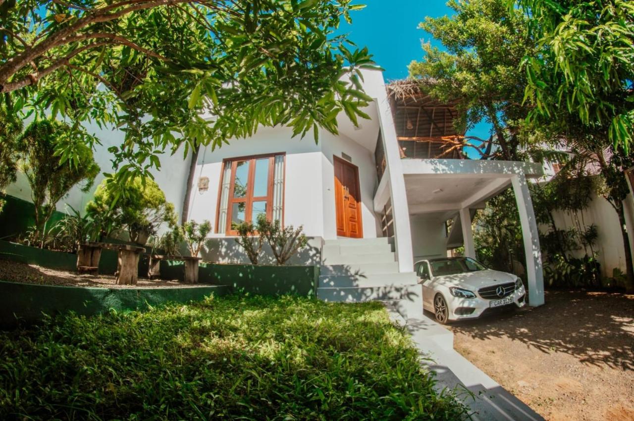 Blue Berry Villa - B&B