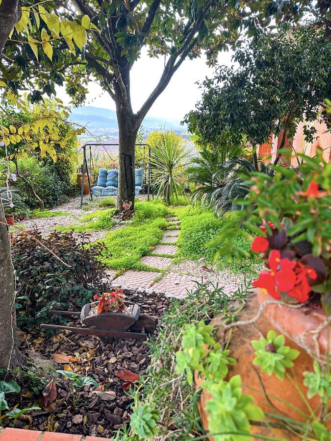 Le Magnolie Paliano appartamento 120 mq - B&B Paliano