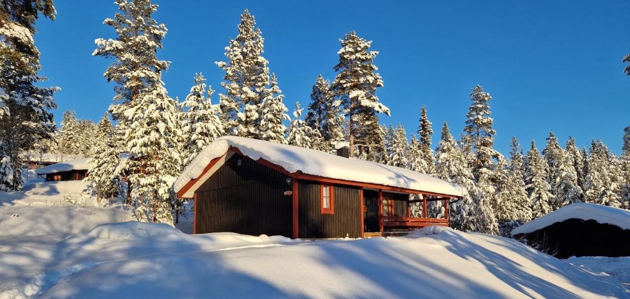 Sauna | Wi-Fi | Terrace | Wood stove | Cable TV - B&B Lofsdalen