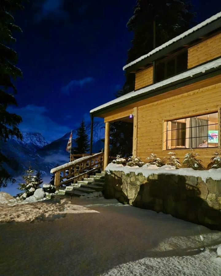 In The Forest - Bed and Breakfast Mestia