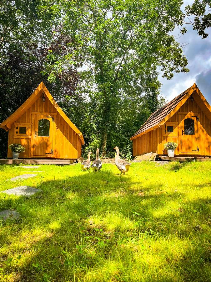 Eifelhüttchen Rotkehlchen - B&B Ulmen