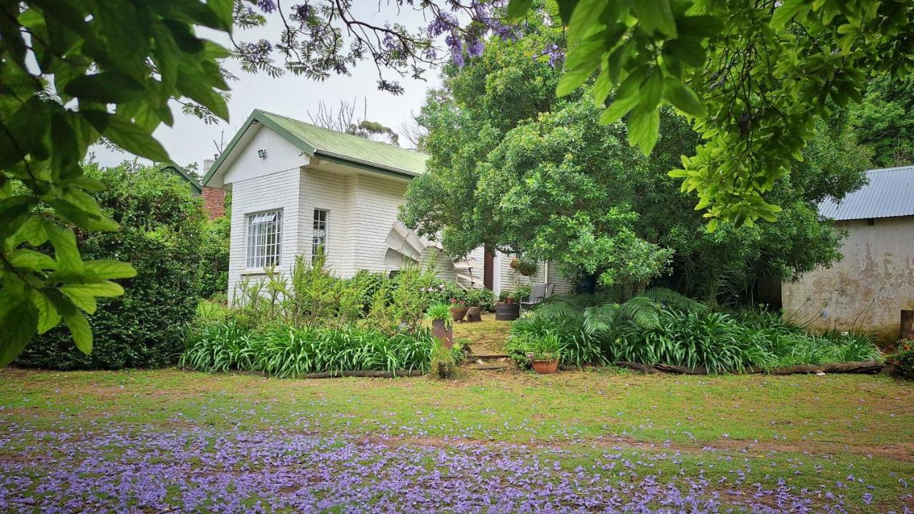 Eagle Owl Cottage - B&B Port Elizabeth