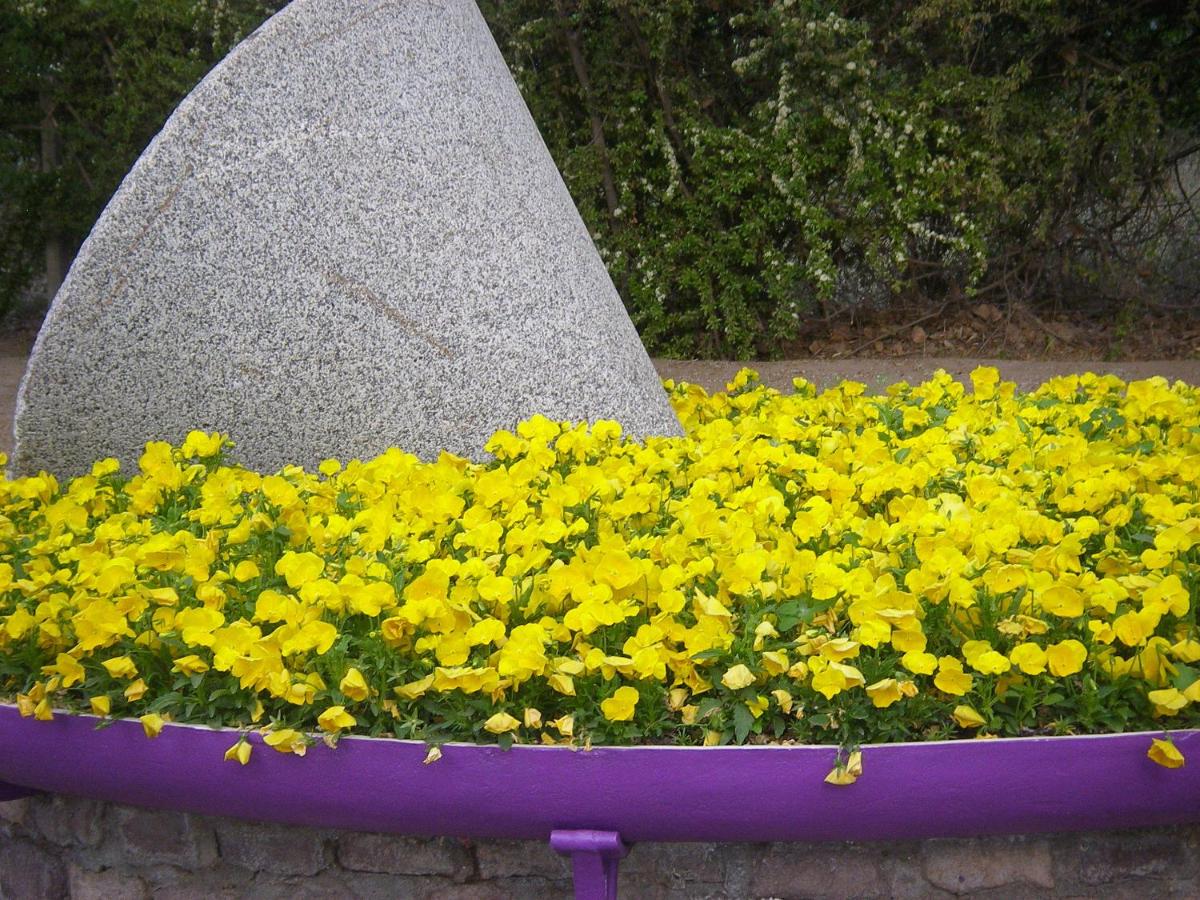 Molino la Tebaida - B&B San Martín