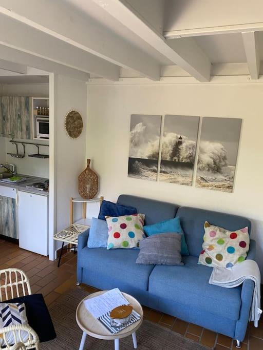 Maison des Dunes - Bed and Breakfast