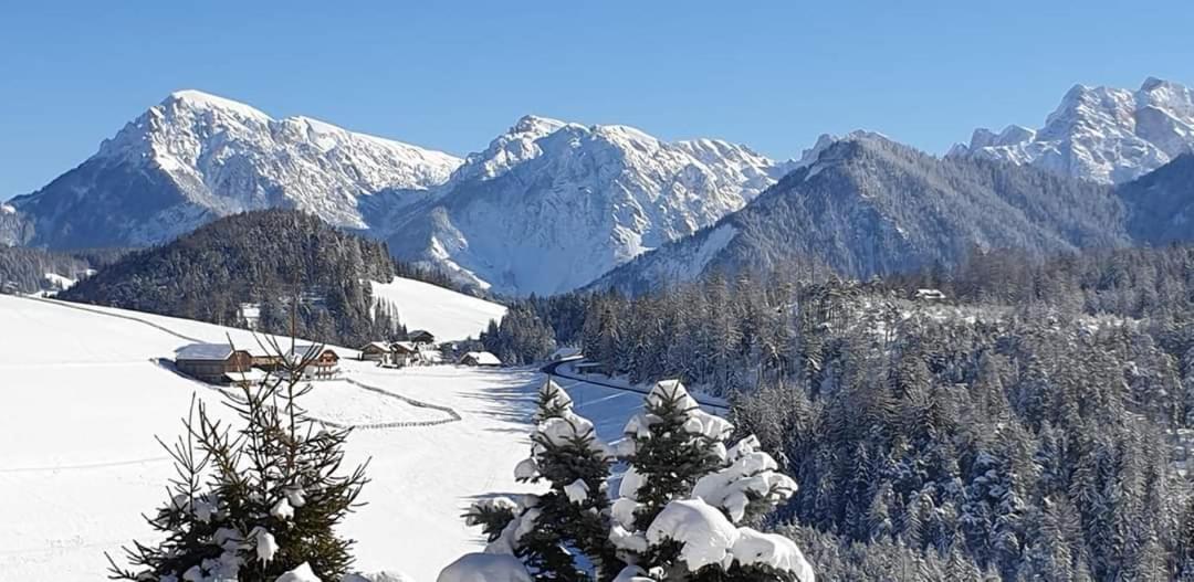 Apartamento de 1 dormitorio con jardín