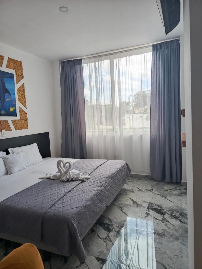 Patty House Galapagos - B&B Puerto Ayora