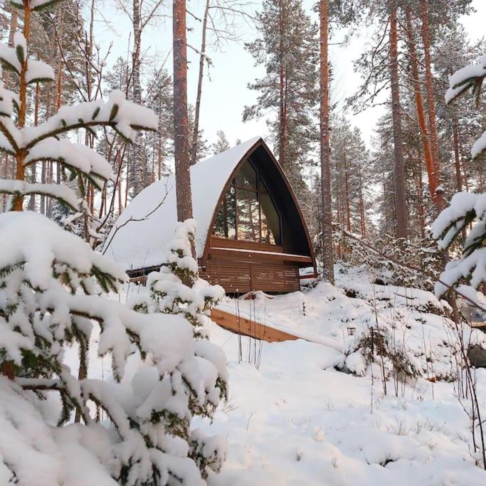 Luontovire Lumous Forest Hut - B&B