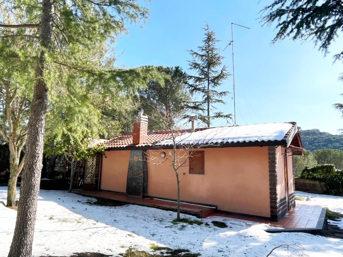 Villa Carola - B&B