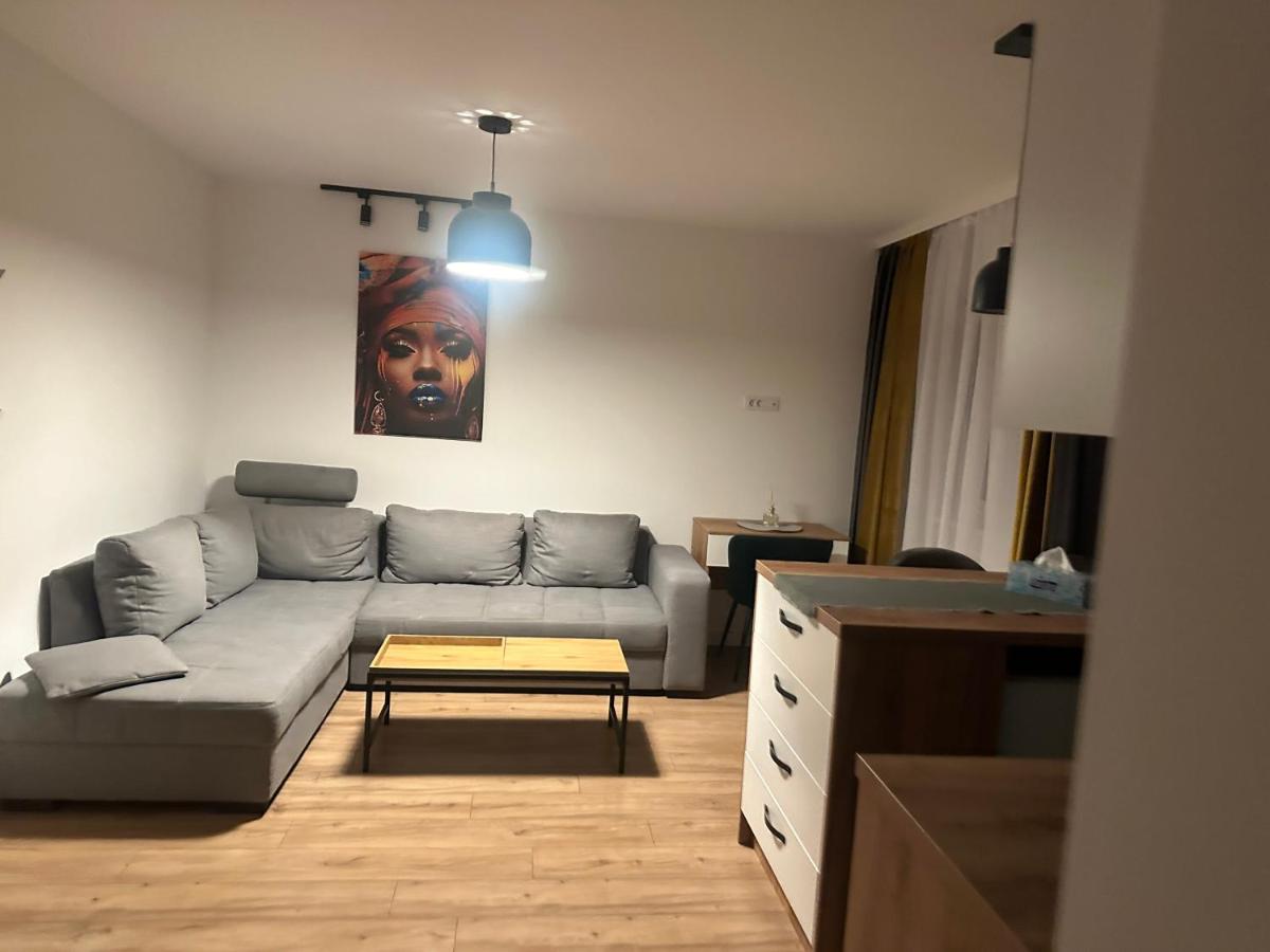 Apartament 1 Cameră Suceava - Ferienwohnung