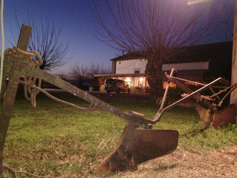 Agriturismo il Podere Vedelago con San Bernardo, Alpaca e una Pentola di cose da scoprire - Ferienwohnung