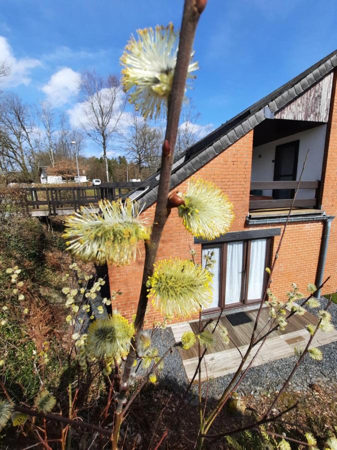 Le Sentier des Lavandes - B&B