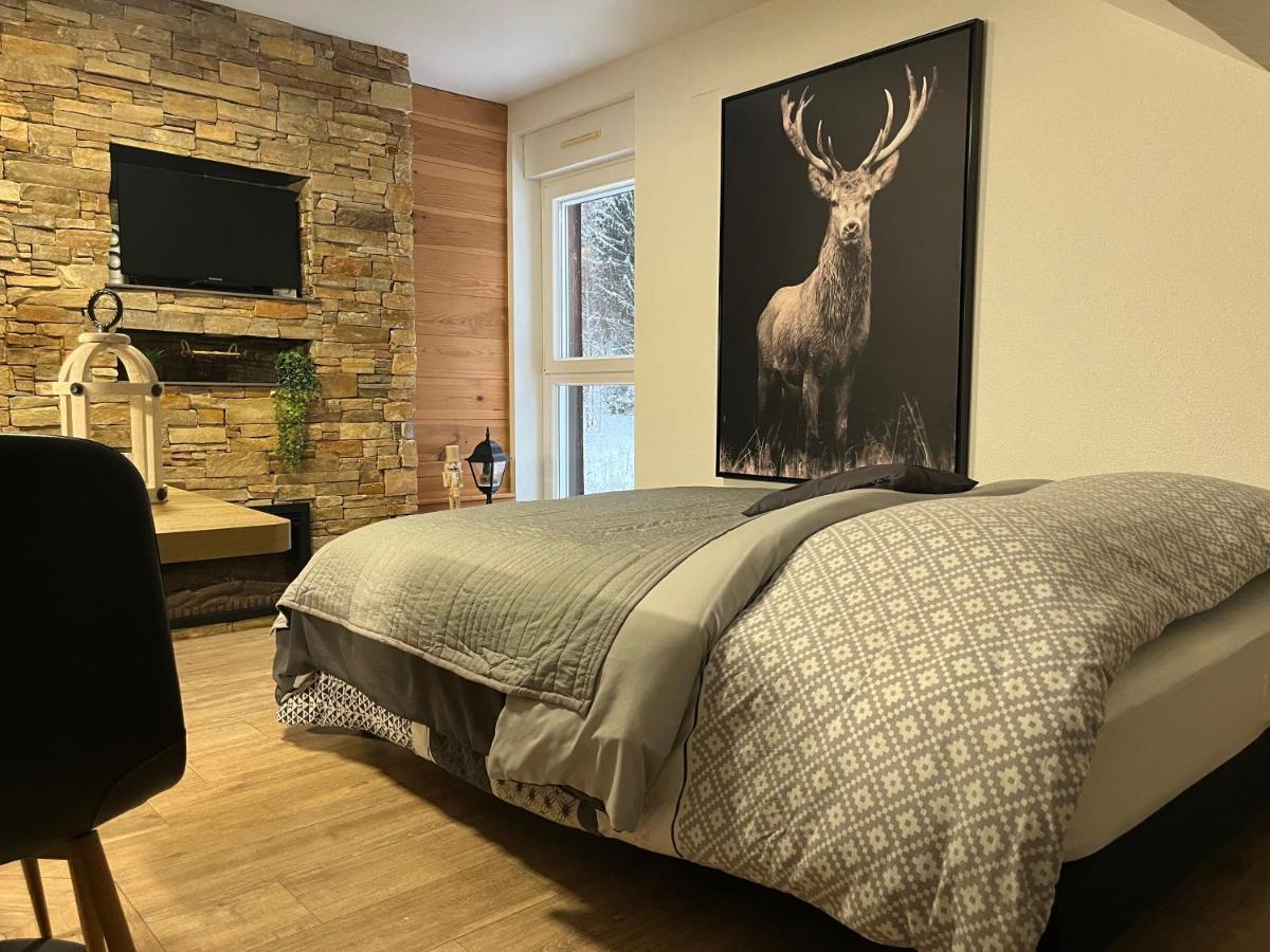 Studio Chalet Cosy Gérardmer - Ferienwohnung