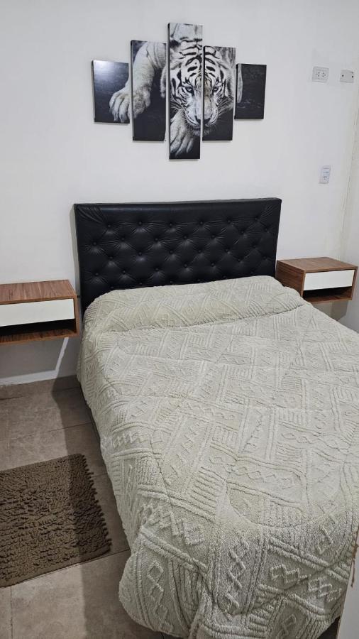 Classic Apartment