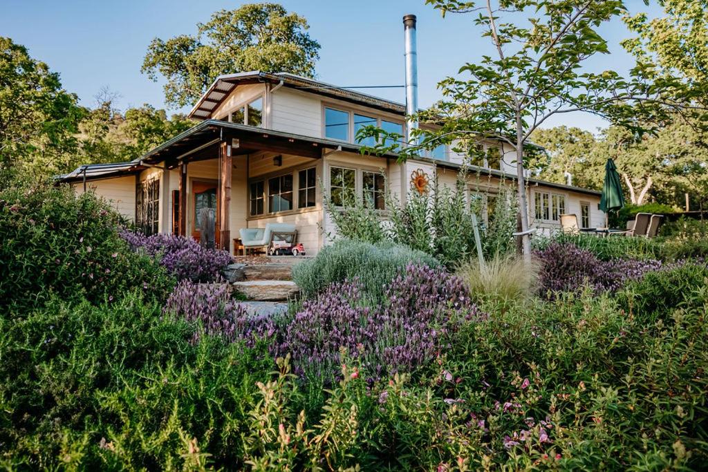 Oak Meadows House - B&B