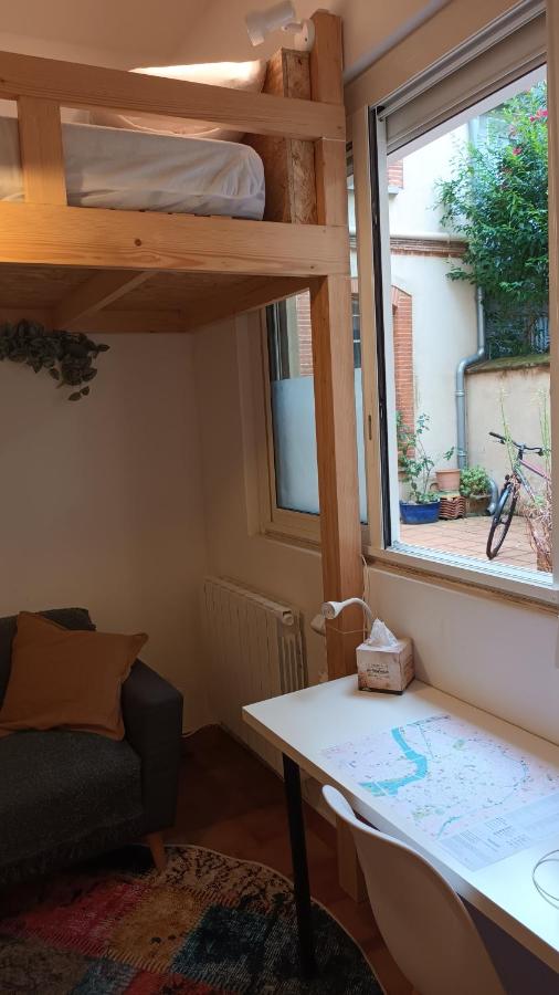 Petit Mignon - Hypercentre Toulouse - B&B